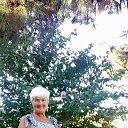   ,   .   .   !    :   , , .    ,  .  ,         , ,    ))    