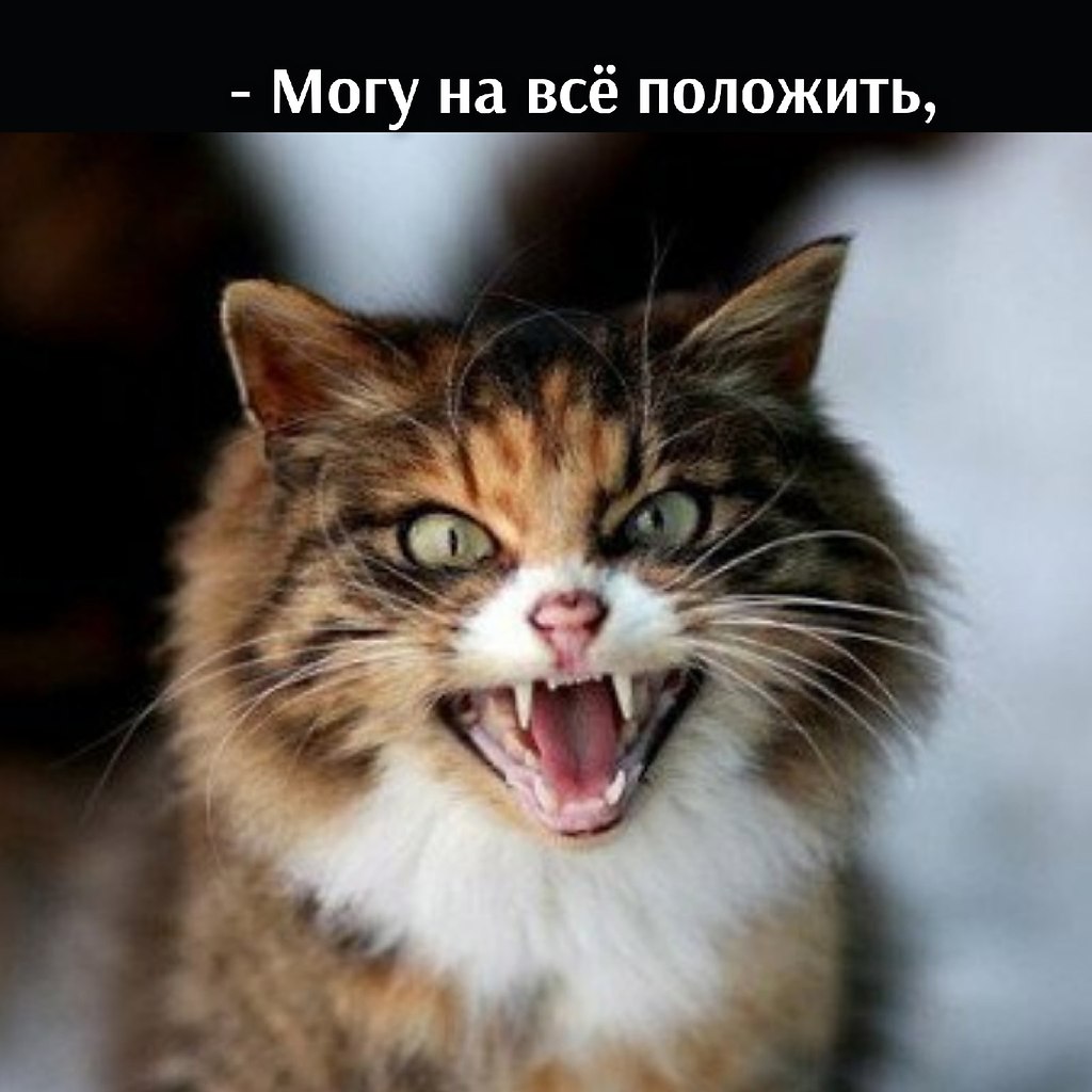 Она на моей странице я ей. Ты снова на моей странице как мило. Уважаемые гости моей странички. Снова на моей странице. Че надо на моей странице.