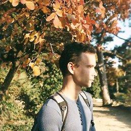 ���������, �����������, 38 ���