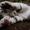 ���� Mihail, ������, 55 ��� - ��������� 10 ������ 2022 � ������ ���� ����������