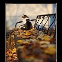 ���� ������, ������, 52 ���� - ��������� 15 �������� 2021 � ������ ������ ��������