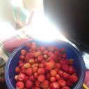 ���� ������, ������� - ��������� 22 ���� 2021 � ������ �������