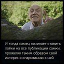 ���� ����, �����, 57 ��� - ��������� 10 ������� 2021 � ������ ���� ����������