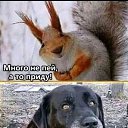 ���� ��������, ������� - ��������� 27 ������� 2021 � ������ ������ ��������