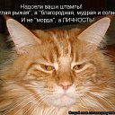 ���� �����, ������, 51 ��� - ��������� 4 ������� 2021 � ������ ������ ��������