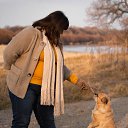 ���� ������, ���������, 50 ��� - ��������� 25 ������ 2021 � ������ ���� ����������