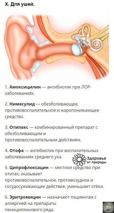 eapca - ae   aoo opaa. e aae ocoeoac c pao!!! - 10