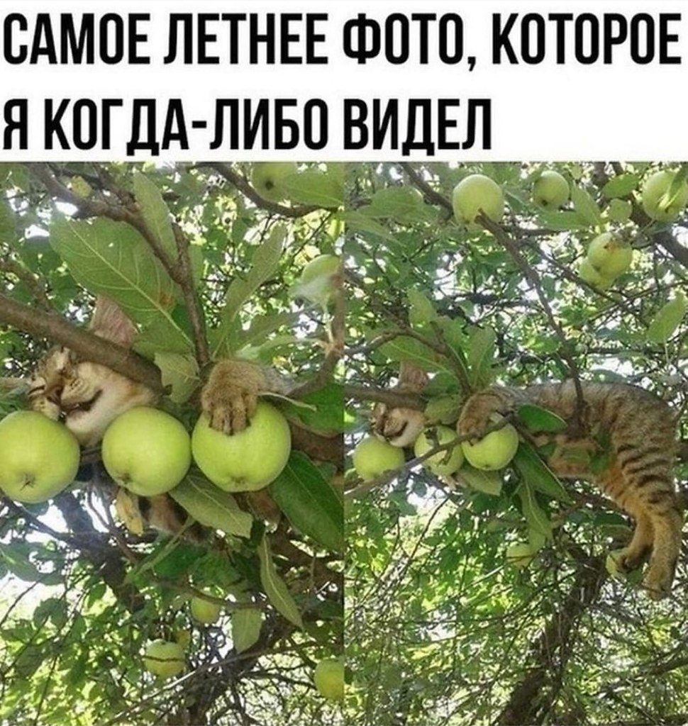 ���������� ����.