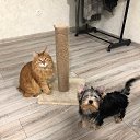 ���� Irin@, ��������� - ��������� 16 ������� 2021 � ������ ���� ����������