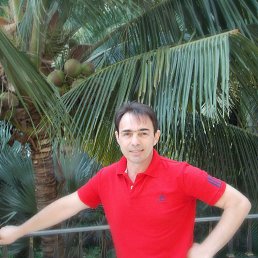 ����, ���������, 55 ���