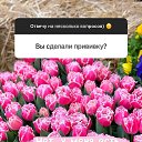 ���� ����, ������ - ��������� 11 ������� 2021 � ������ ���������