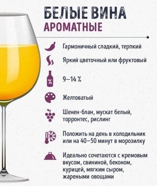Кто ещё не разбирается в винах? Это вам на заметку - 4