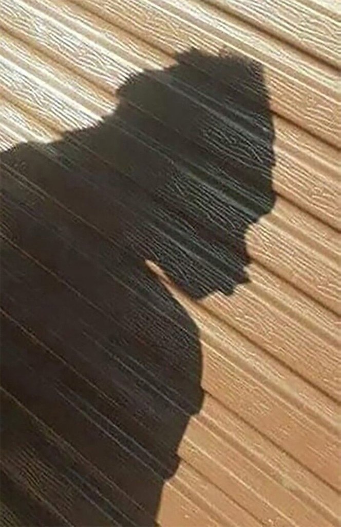 -,  ... - 2