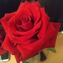 ���� �����, ����, 49 ��� - ��������� 22 ������� 2021 � ������ ���� ����������