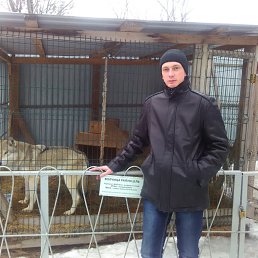 ���� �������, �����������, 41 ��� - ��������� 3 ��� 2021