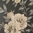 ���� ��������, ������, 32 ���� - ��������� 31 ������� 2021 � ������ ���� ����������