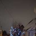 ���� "�����"))), ������ ���� - ��������� 8 ������� 2021 � ������ ������ ��������