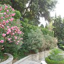 ���� �������, ����, 63 ���� - ��������� 7 ������� 2021 � ������ ���� ����������