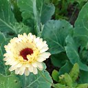 ���� �������, ������ �������� - ��������� 23 ������ 2021 � ������ ���� ����������