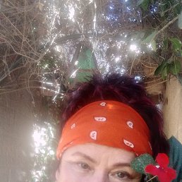 �������, ���������, 61 ���