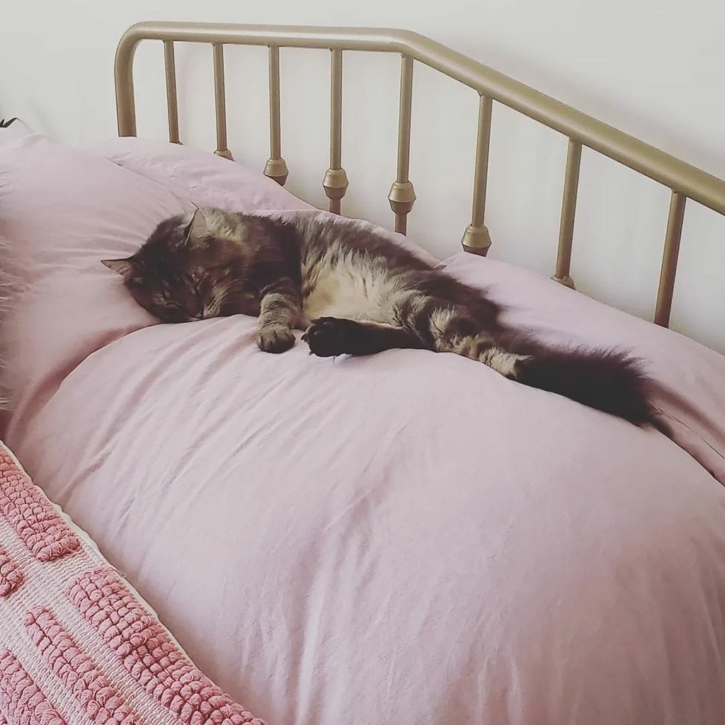 � � �����.� � ���������� � �����������