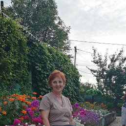 ���� �����, ���������� - ��������� 25 ������� 2021