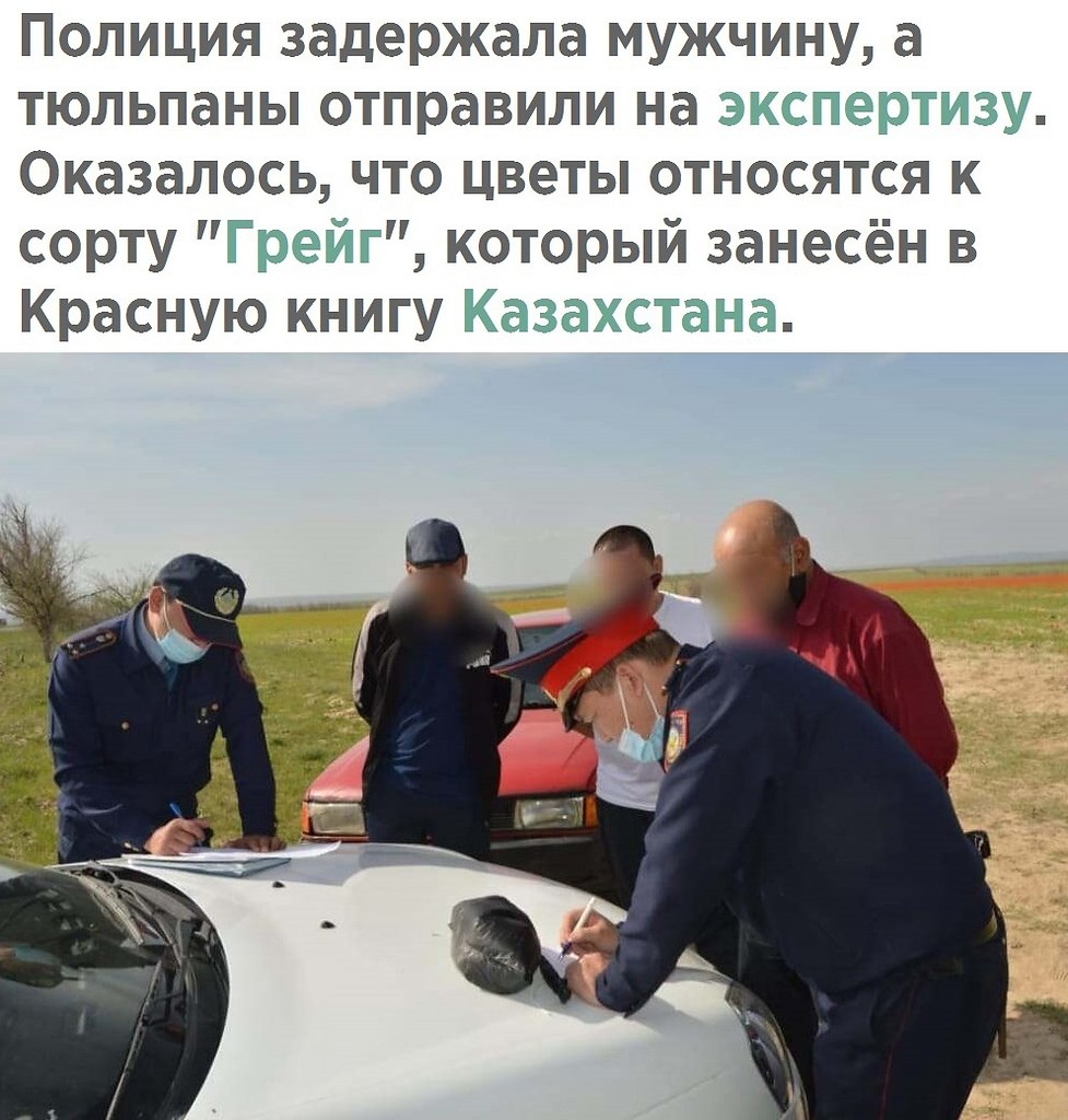    - 30  2021  08:23 - 2