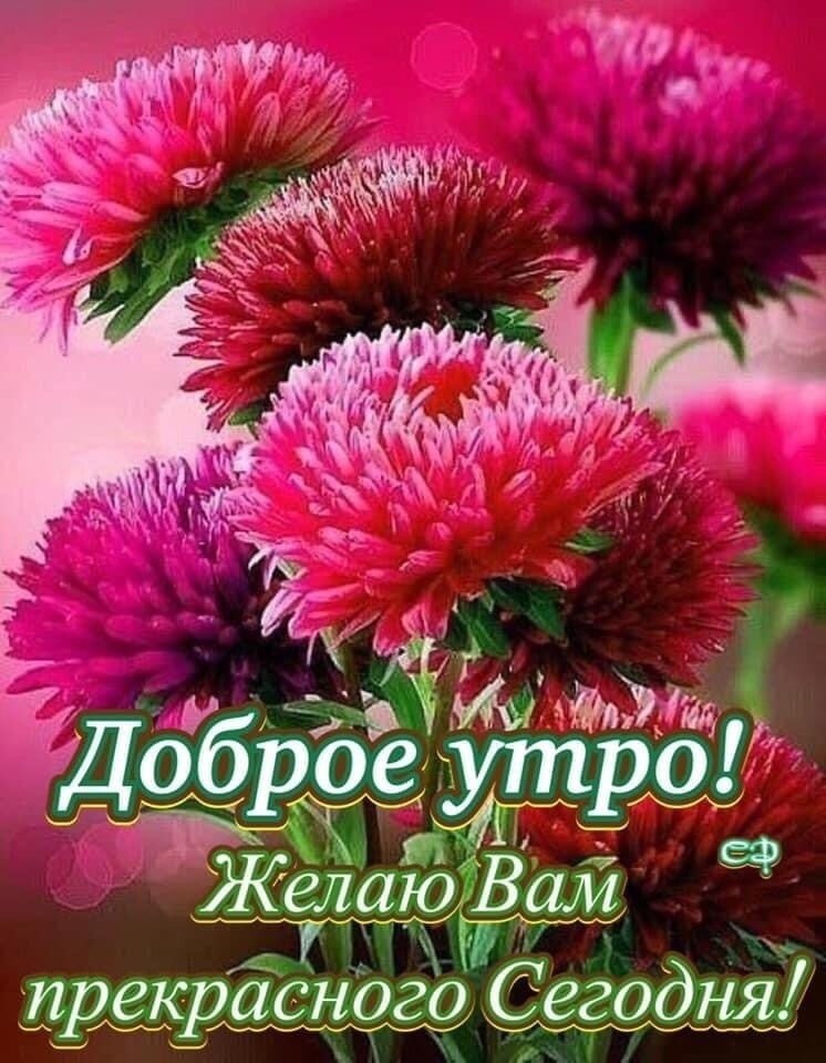   ,    . - 12  2021  01:02