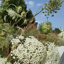 ���� ����, �������, 70 ��� - ��������� 29 ������ 2021 � ������ ���� ����������