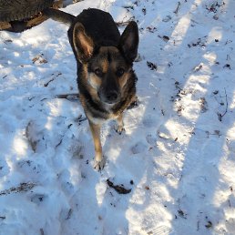 ������, ������, 54 ����