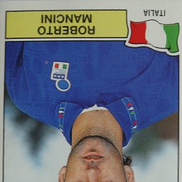 ������, ������, 49 ���