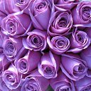 ���� �������, ��, �������� - ��������� 17 �������� 2021 � ������ ���� ����������