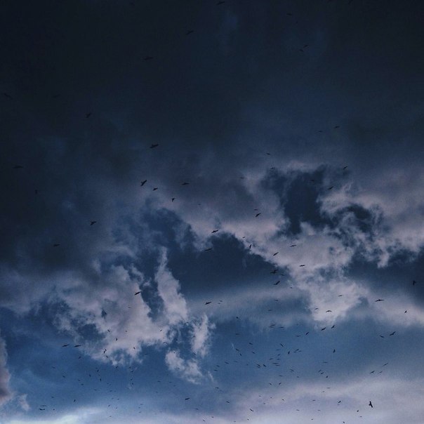 Точку можно поставить в отношениях, но не в чувствах. | Внешность - на ...