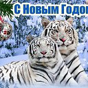 ���� Aleks, �����������, 65 ��� - ��������� 1 ������ 2022 � ������ ������ ��������