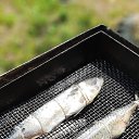 ���� ������, �������, 49 ��� - ��������� 13 ������� 2021 � ������ ���� ����������