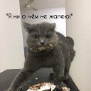 ���� ����_��������), ������ - ��������� 1 ������� 2021 � ������ ���� ����������