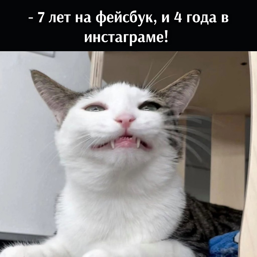       - 10  2022  14:55 - 2