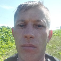 ��, �����-���������, 44 ����