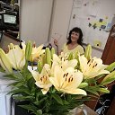 ���� ��������, �������, 62 ���� - ��������� 29 ���� 2021 � ������ ���� ����������