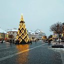 ���� ����, ������� - ��������� 28 ������� 2021 � ������ ������ ��������