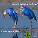���� ����������, �����-���������, 30 ��� - ��������� 26 ������ 2021 � ������ ������ ��������