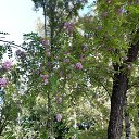 ���� ����, �������, 70 ��� - ��������� 29 ������ 2021 � ������ ���� ����������