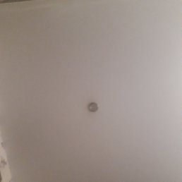 ����, ������ ��������, 41 ���