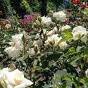  ,  -  16  2021    2021