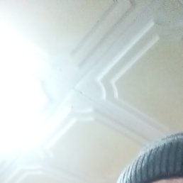 �������, ���������, 61 ���