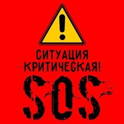 ПОЖАЛУЙСТА , ДАВАЙТЕ ПОДАРИМ КОТИКУ ЛАПКУ.ЛАПКА ОТОРВАНА, ТОРЧАЛА ОГОЛЕННАЯ КОСТЬ, НА КОТОРУЮ МАЛЫШ ... - 2