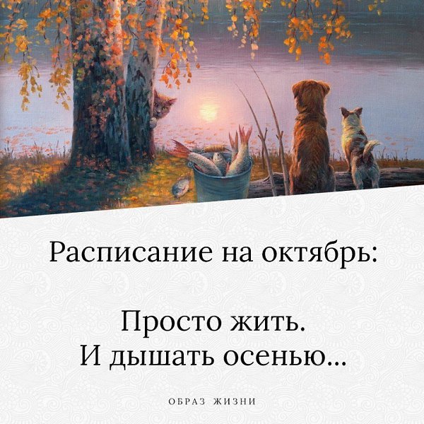 Co-Motivation.... . - 9  2021  21:36