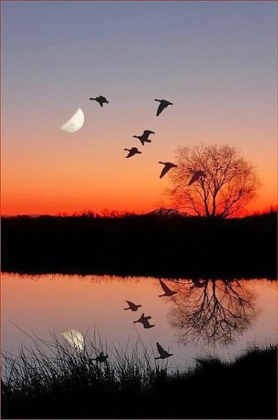  ,  ,   ,     ,    ...