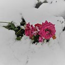 ���� �., �����������, 70 ��� - ��������� 16 ������ 2021 � ������ ������ ��������