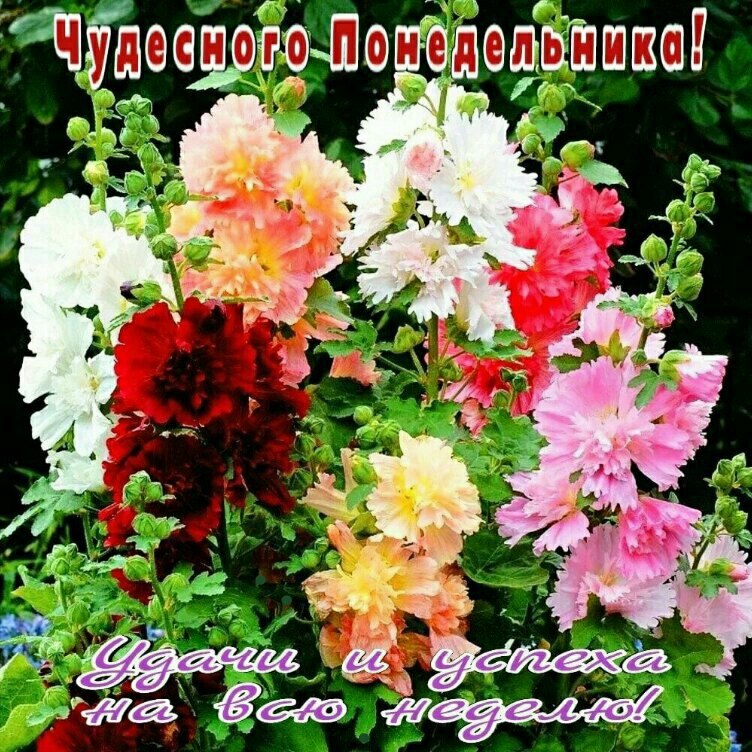   ,    . - 15  2021  23:44